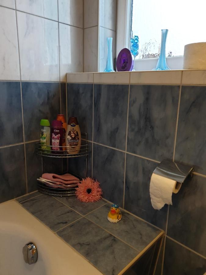 Schoene Grosse Ferienwohnung Im Mittelrheintal Nahe Loreley Bornich 外观 照片