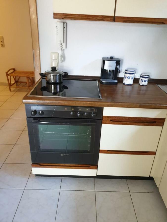 Schoene Grosse Ferienwohnung Im Mittelrheintal Nahe Loreley Bornich 外观 照片